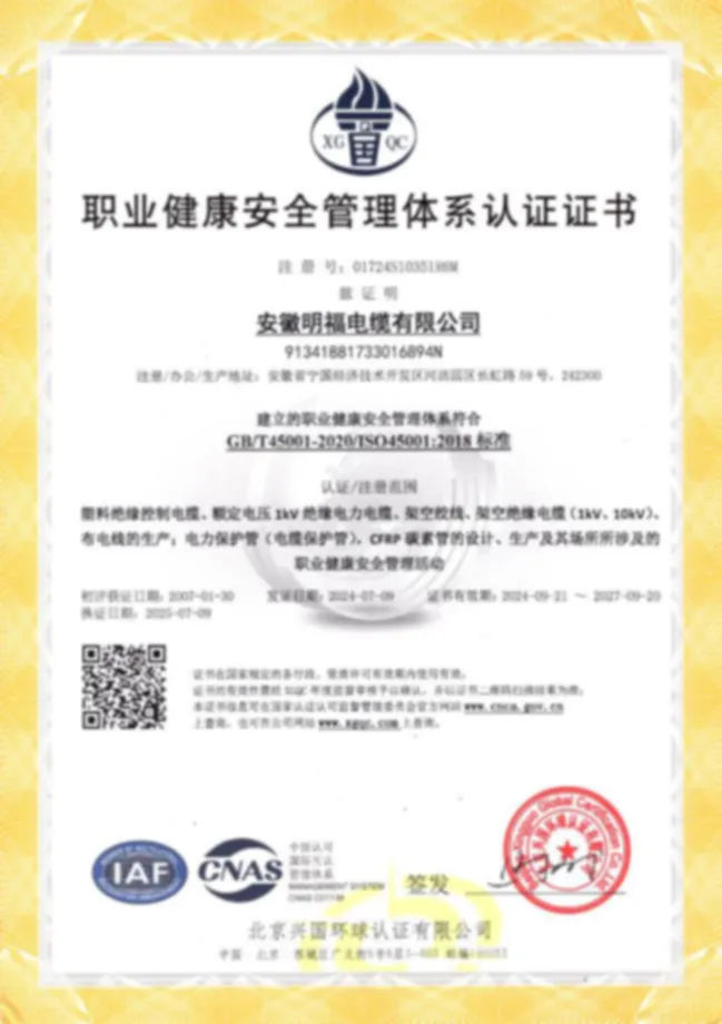 职业健康管理体系认证证书