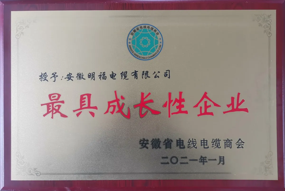 成长型企业