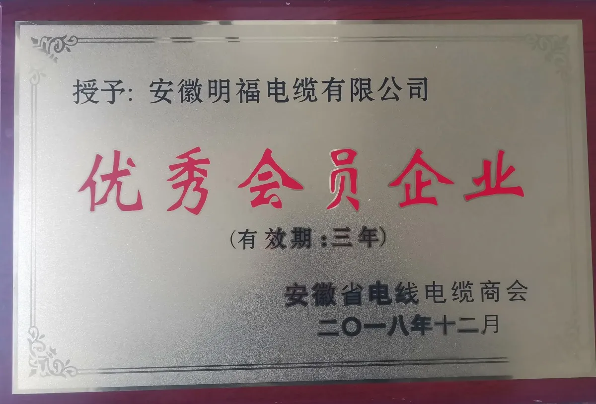 优秀会员企业